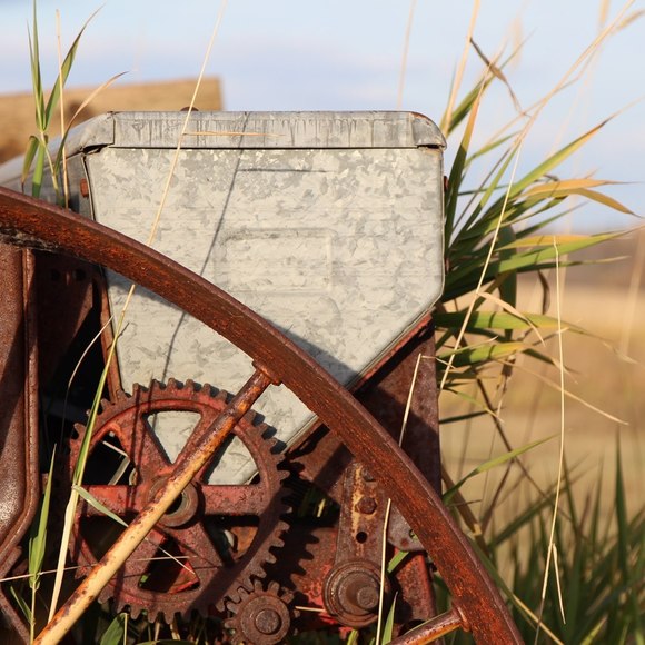 Meet your Posher, Carol - Picture 1 of 1